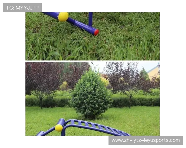 中山地区健身器材销售及热门产品推荐